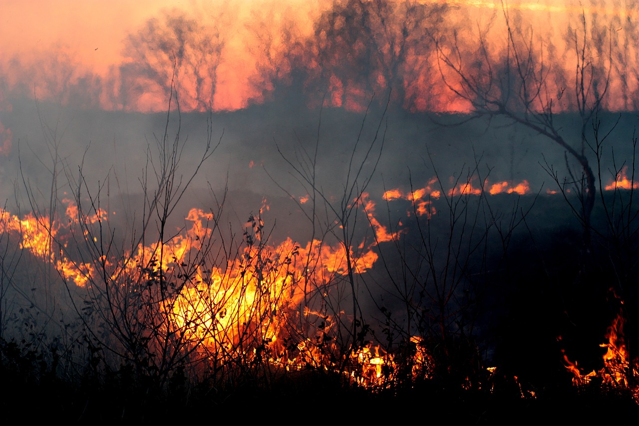 Disaster Preparedness - How to Make Your Home Disaster-Proof